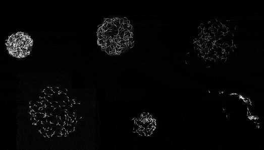 Examples of Nooscape visualizations representing different cognitive states
